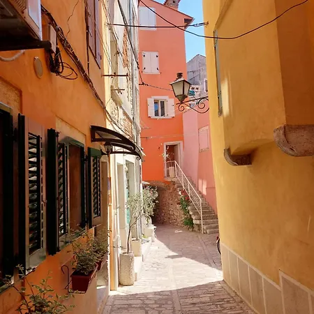 New2024 Mark's Seaview By Irundo